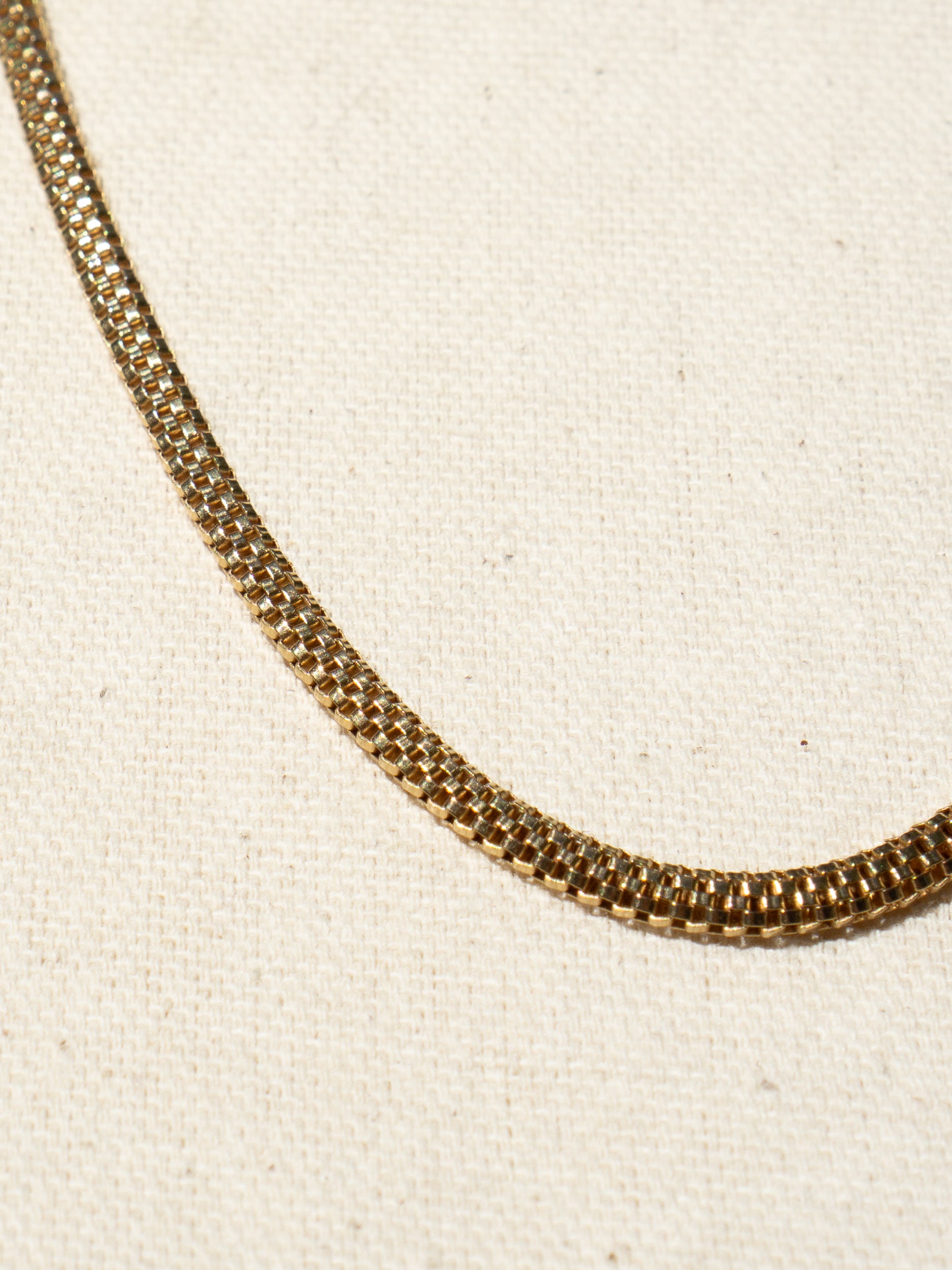 Snake Spine Chain