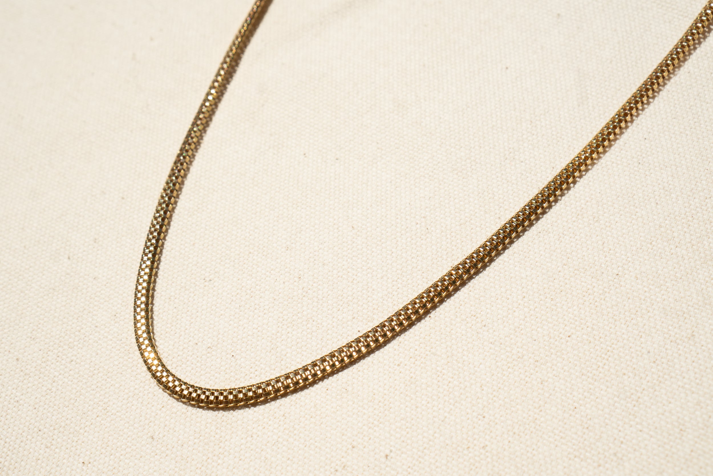 Snake Spine Chain