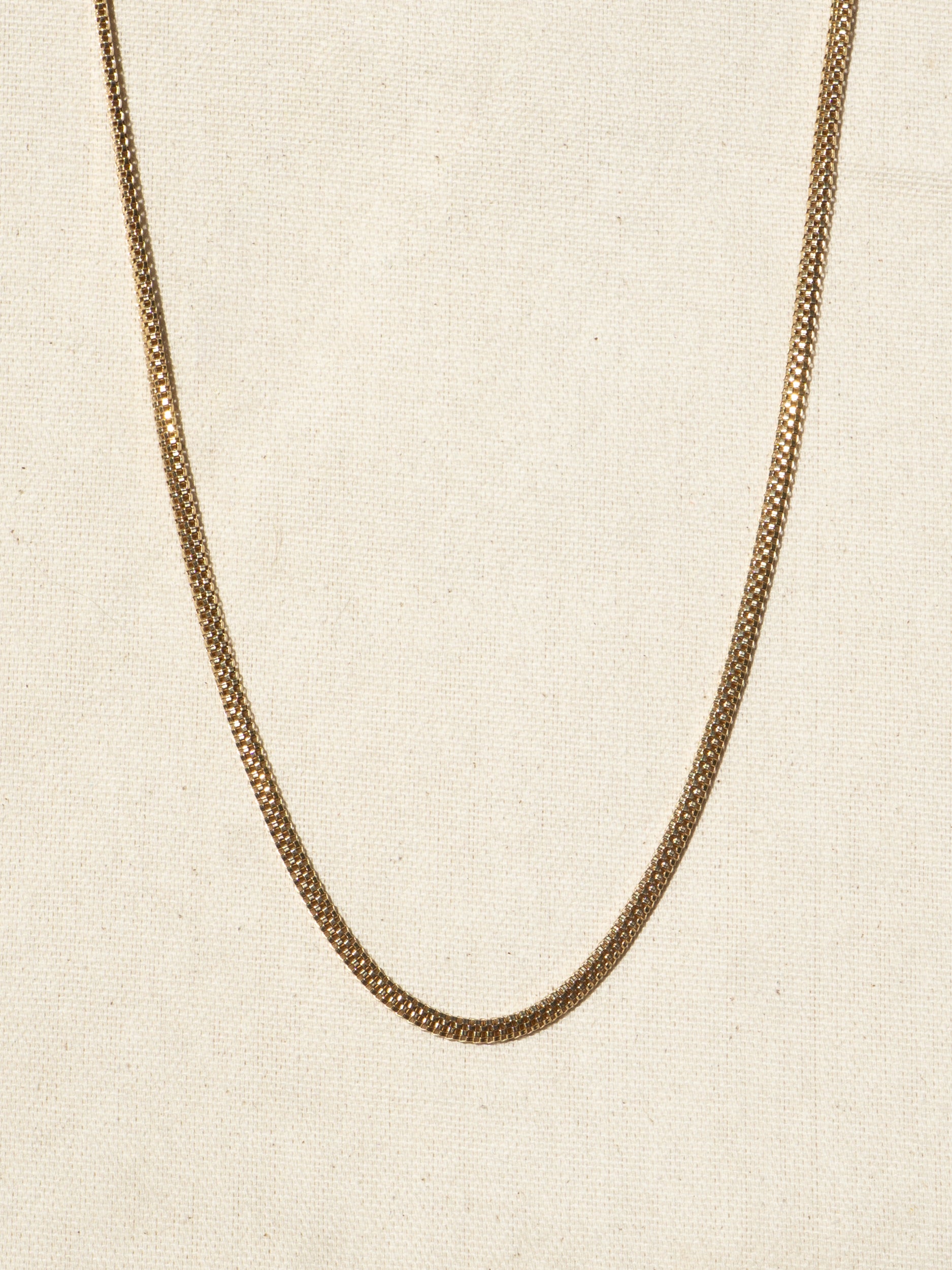 Snake Spine Chain