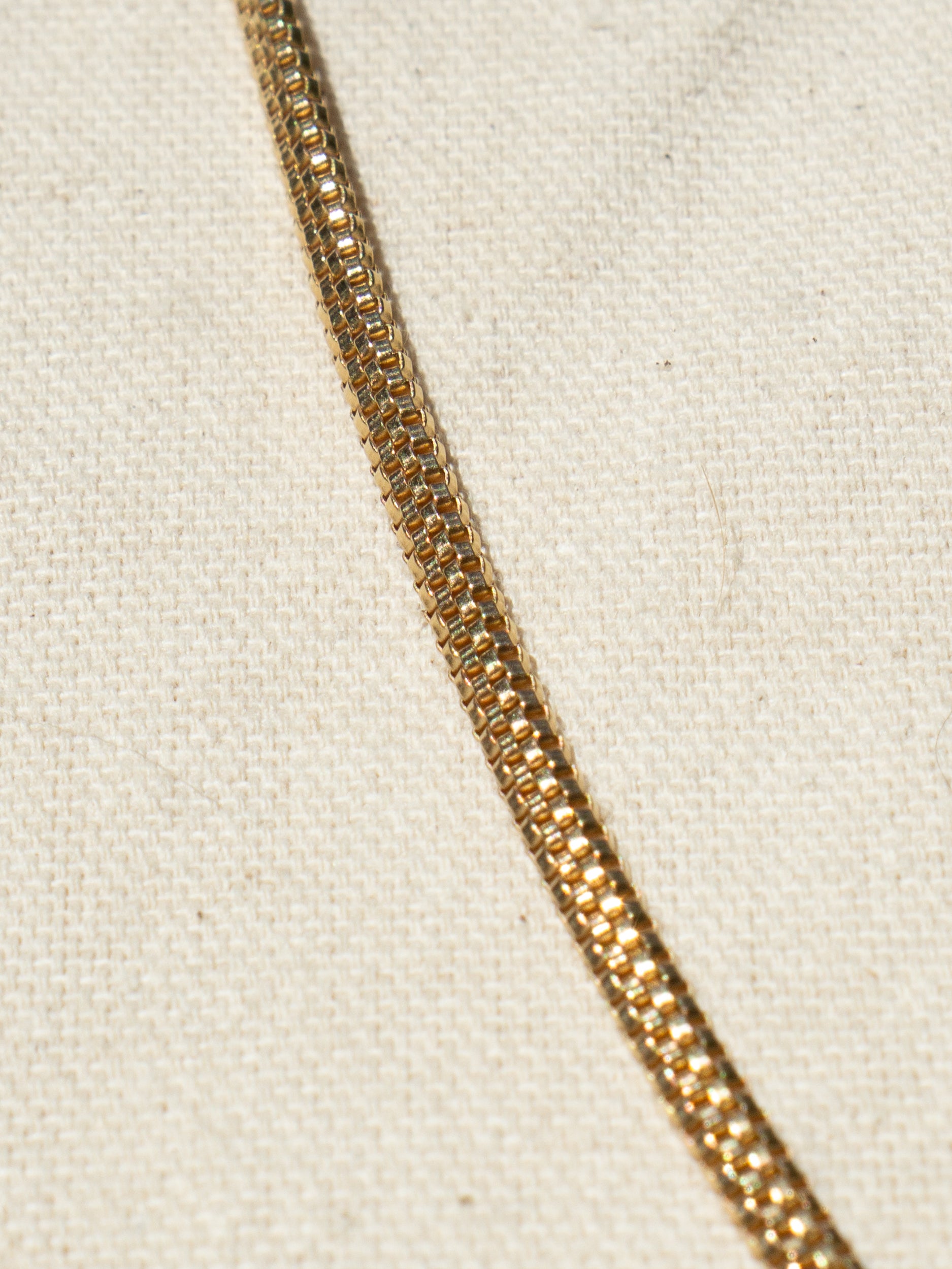 Snake Spine Chain